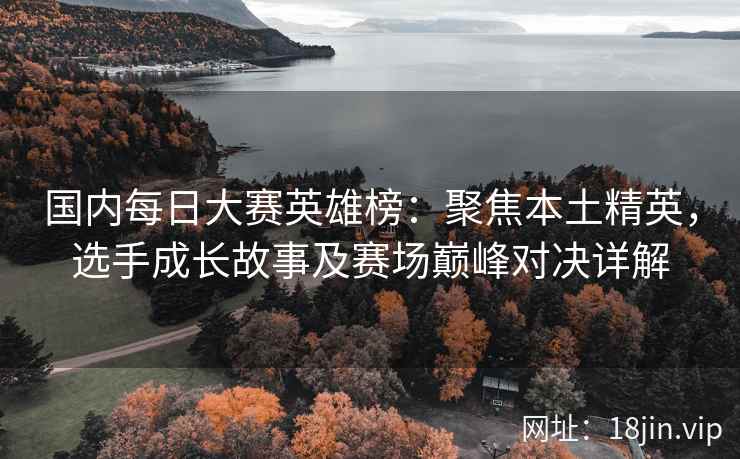 国内每日大赛英雄榜：聚焦本土精英，选手成长故事及赛场巅峰对决详解