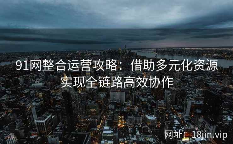 91网整合运营攻略：借助多元化资源实现全链路高效协作