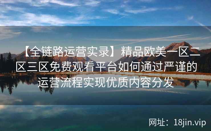 【全链路运营实录】精品欧美一区二区三区免费观看平台如何通过严谨的运营流程实现优质内容分发